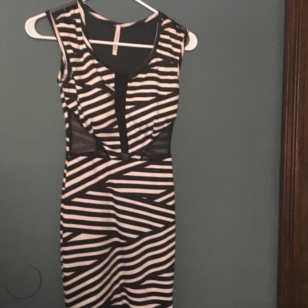 Zebra 🦓 dress